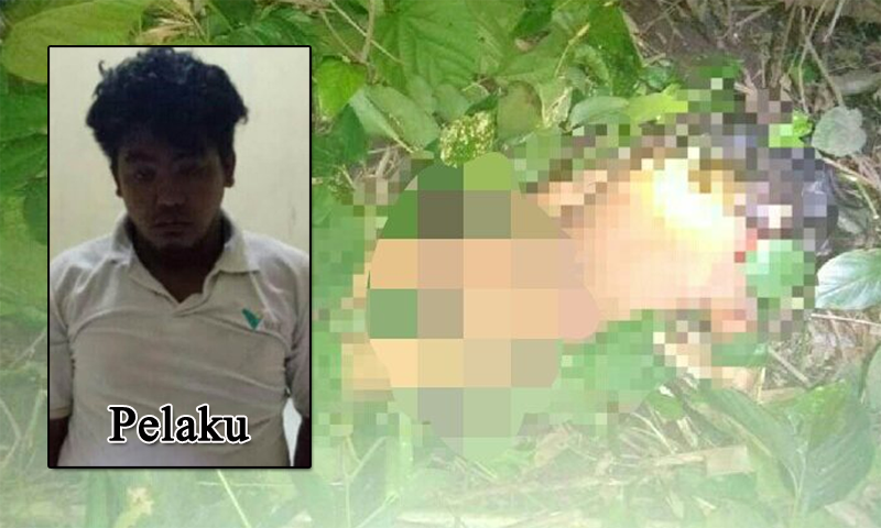 SADISNYA...Bocah SD Diperkosa dan Dibunuh Tetangga, Leher dan Dada Ditikam Belasan Kali, Berdarah-darah