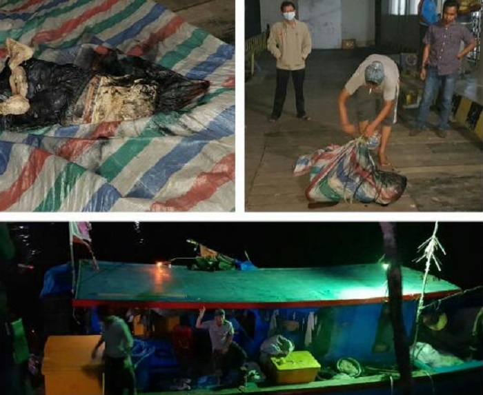 Tersangkut Jaring, Nelayan di Panipahan-Rohil Temukan Mayat Pria Tanpa Kepala dan Tangan