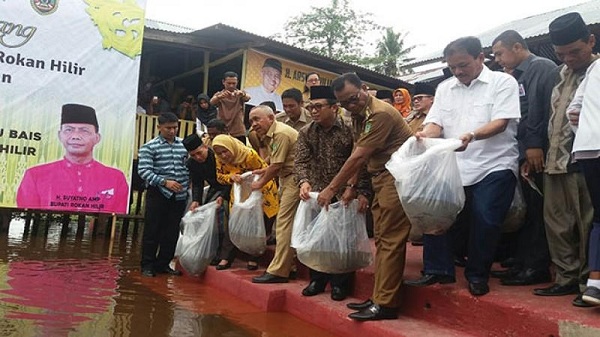 Tabur Benih Ikan Baung di Sungai Rokan, Bupati Suyatno: Rohil Punya Sumber Daya  Hayati yang Besar