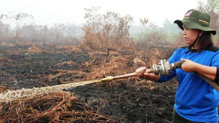 Ini Dia Nama-nama Perusahaan Raksasa Pembakar Hutan di Sumatera dan Kalimantan