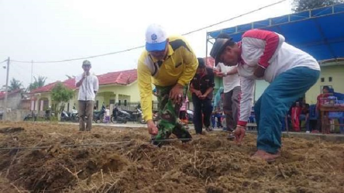 Tanam Jagung Pipil, Lurah Sialang Rampai: Program Ini harus Jadi Contoh bagi  RT dan RW