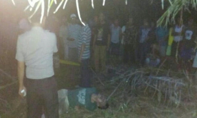 Tukang Gigi di Rohul Ditemukan Tewas di Kebun Sawit, Diduga...