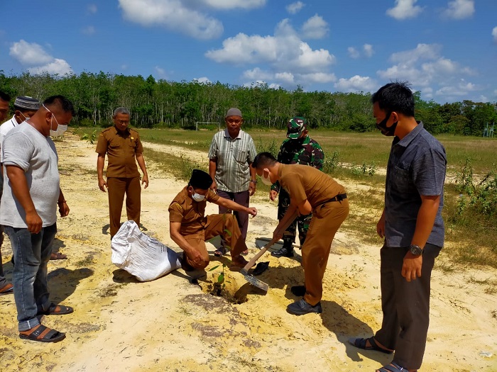 Peduli Penghijauan Lingkungan, Lurah, Babinsa, Kehutanan Dan Pemuda Sedinginan Lakukan Penanaman Pohon