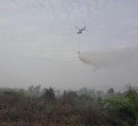 Puasa, Satgas Karlahut Tetap Semangat Padamkan 57 Hektar Lahan  Terbakar di Riau