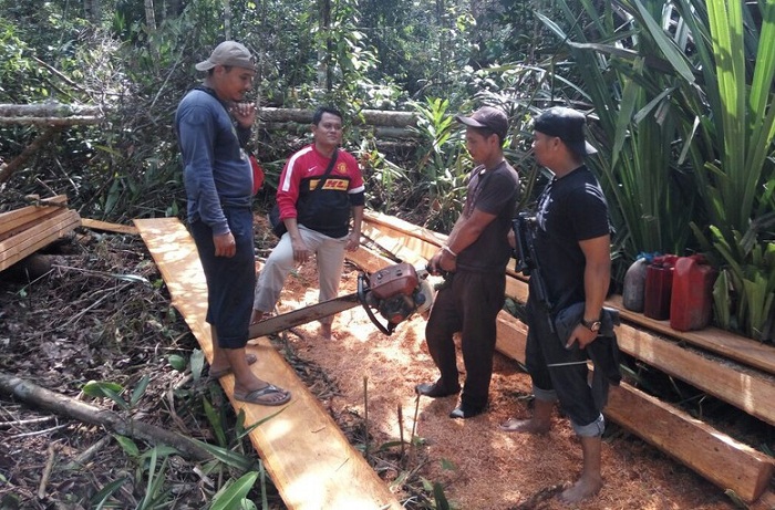 Berawal dari Penemuan Kebun Sawit, Polisi Tangkap 6 Pelaku Illegal Logging di Kawasan Cagar Biosfer Riau