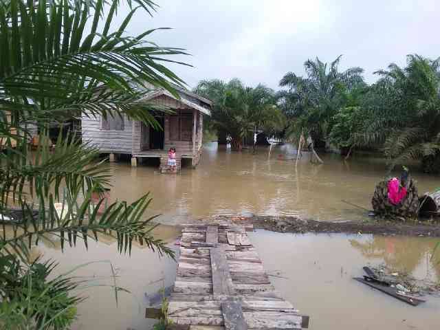 Diguyur Hujan, Ratusan Rumah Warga di Rohul Terendam Banjir
