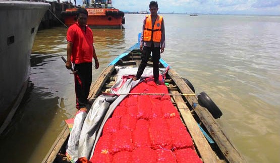 Tiga Pelaku Terjun ke Laut Saat Disergap, Satu Berhasil Ditangkap