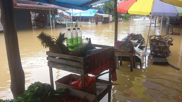 Banjir Meluas, Pemprov Riau Minta Bantuan Logistik dan Peralatan ke Pusat