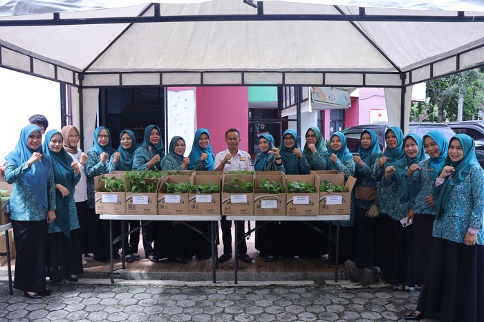 DKP Serahkan Bantuan Seribu Batang Bibit Cabai dan Terong untuk 15 Kecamatan