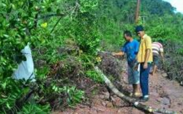 Hati-hati... Jalan Lintas Balung-Tanjung Belit di Kampar Sering Longsor