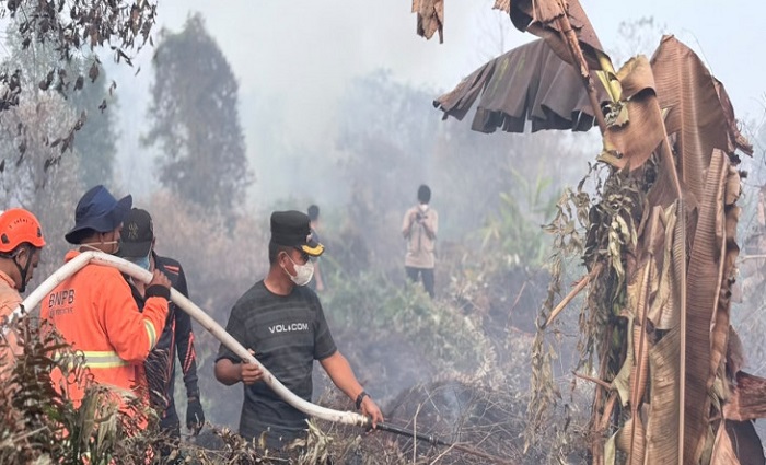 Karhutla di Tambang, Bupati Kampar Imbau Warga Stop Membakar Lahan