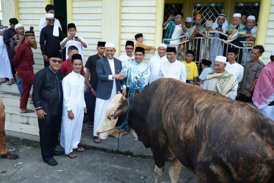 Rayakan Idul Adha di Sungai Guntung, Bupati Inhil Serahkan Hewan Kurban Presiden