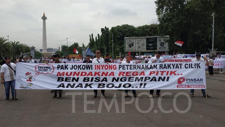 Harga Ayam Jatuh, Ratusan Peternak Demo Jokowi di Depan Istana Negara