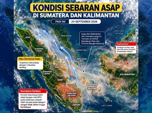 Terungkap, Ternyata Ini Penyebab Asap Tebal Selimuti Wilayah Siak