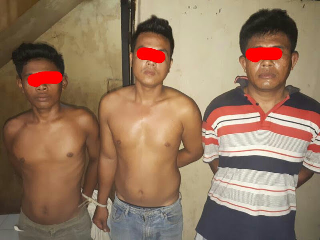 Polisi Bekuk Tiga Pencuri Sapi di Rohil, Satu Tersangka Masih ABG