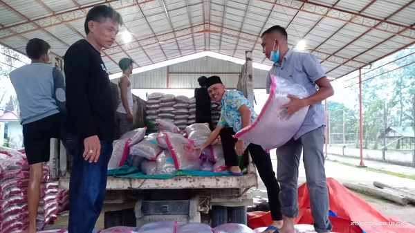 Setelah Bersetifikat ,13 Ton  Benih Padi Unggul Dari Desa Tanjung Simandolak  Siap Ekspor ke Rohil