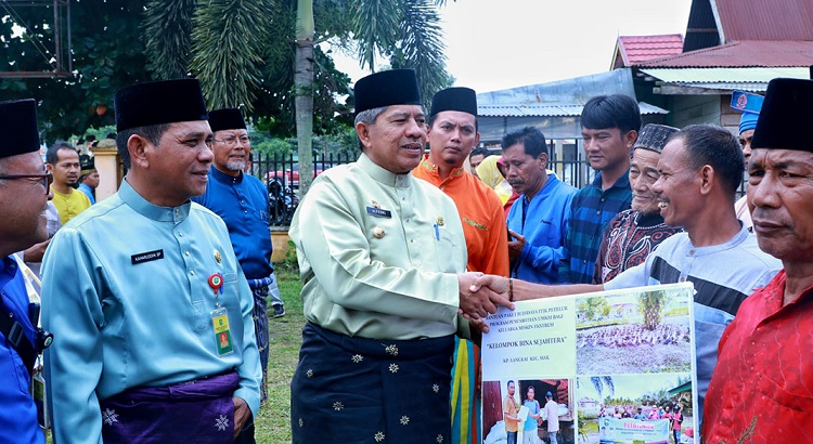 Bupati Alfedri Jadi Bujang Kampung di Pangkalan Pisang