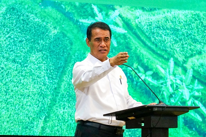 Bapanas: Stok Seluruh Pangan Pokok Strategis Lebih dari Cukup untuk Ramadan dan Idulfitri