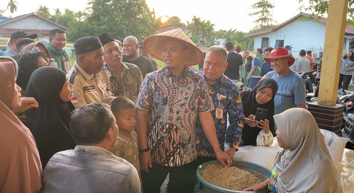 Wali Kota Agung Tugasi kepala DKP Pastikan Beras Petani di Meranti Pandak Diserap Bulog