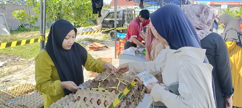 Bapanas-Dinas Pangan Laksanakan GPM Serentak pada 6 Maret, Di sini Lokasinya...