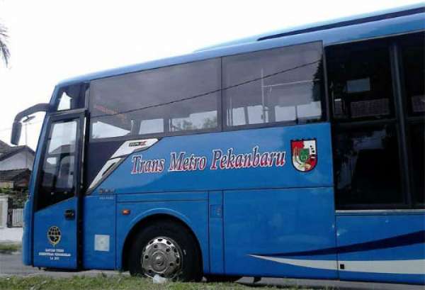 Dishub Pekanbaru Ajukan Penambahan 20 Armada Bus TMP
