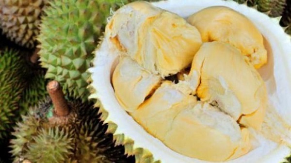 Sedang Musim, Yuk Berburu Durian Tembaga di Dusun Agam, Mempura Siak...