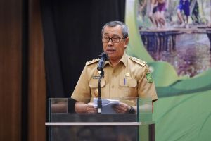 Tiga Komponen Ini Berperan dalam Pengelolaan Ekosistem Gambut di Riau