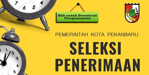 Ini Formasi Penerimaan Cpns Dan Pppk Kota Pekanbaru Tahun 2021