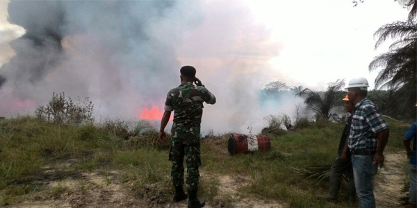 Kolam Limbah Milik PT MAN di Tambusai Utara Terbakar