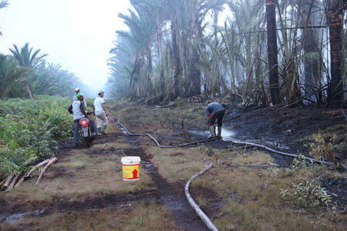 HEBAT...Kalah di Persidangan, PT NSP Diwajibkan Bayar Rp1,040 Triliun
