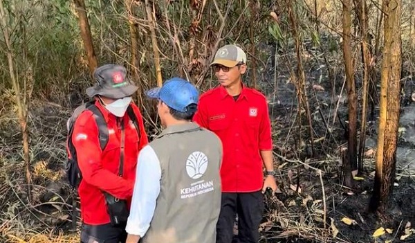 Turun ke Kalsel, Menhut Raja Antoni: Api Sudah Tak Terlihat, tapi Gambut Masih Berasap