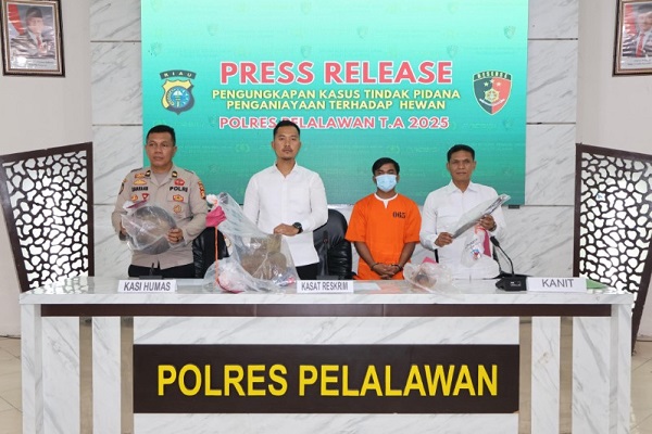 Aniaya  dan Jual Daging Anjing, Pria di Pelalawan Ditangkap Polisi