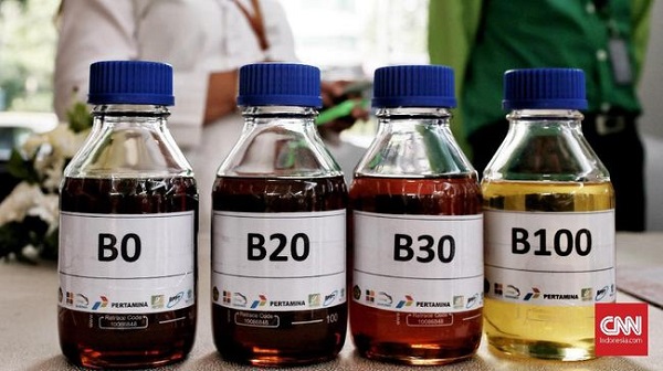 Distribusi Biodiesel B35 Dilakukan Bertahap, Berikut Rincian Rencana  Pertamina