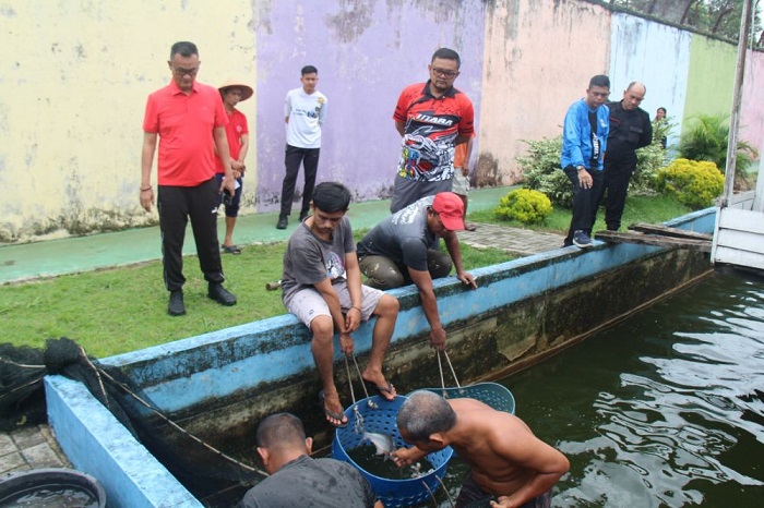 Lapas Pekanbaru Panen 2 Ton Ikan Patin