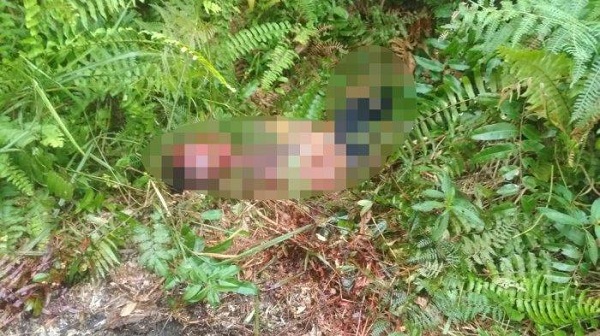 Hilang Malam Hari, Bocah Kelas 5 SD Di Bengkalis Ditemukan Tewas dengan Tubuh Penuh Luka