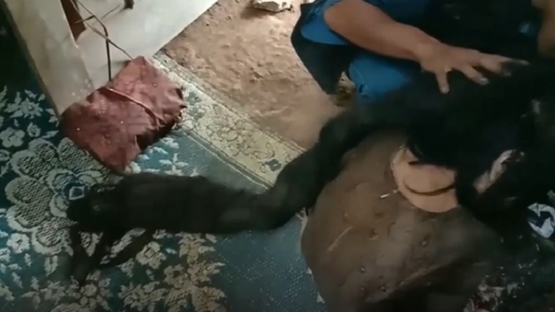 Dijuluki 'Genderuwo', Nenek Sukiyah Ternyata Sudah 27 Tahun Tak Pernah Mandi 