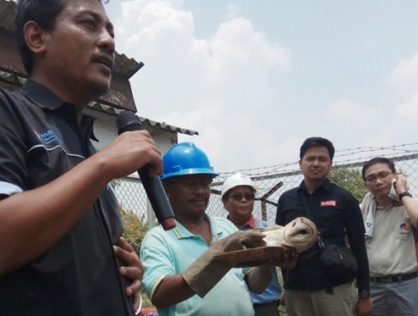 UNIK...Jaga Kebun Sawit di Riau, Sinar Mas Gunakan Burung Hantu