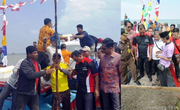 Hebat, Rohil Satu-Satunya Daerah di Riau yang Budidayakan Kerang
