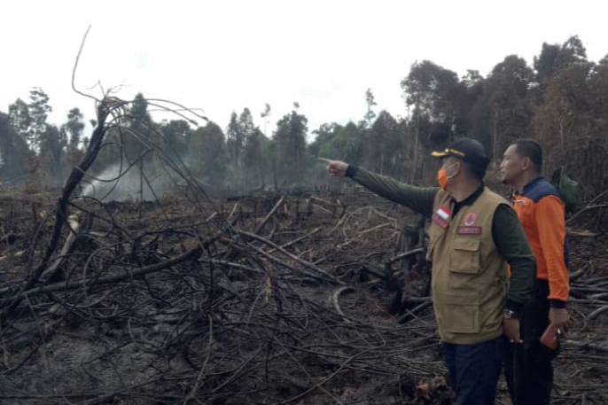 Karhutla 4 Ha di Bengkalis, Polda Riau Tetapkan Dua Tersangka