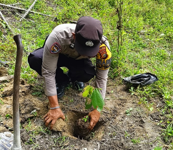 Polsek  Singingi Hilir Lakukan Penanaman Pohon Beringin