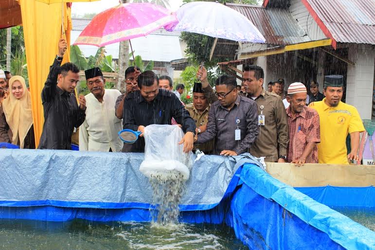 Di Bawah Guyuran Hujan, Wako Serahkan Bantuan Bibit Lele bagi Kelompok Tani di Tenayan Raya