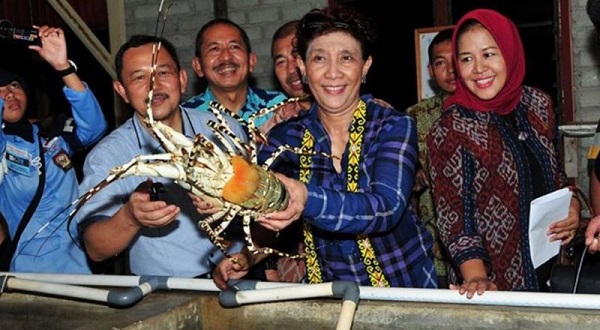 Larangan Ekspor Benih Lobster Disebut Rugikan Nelayan, Begini Respon Susi Pudjiastuti...