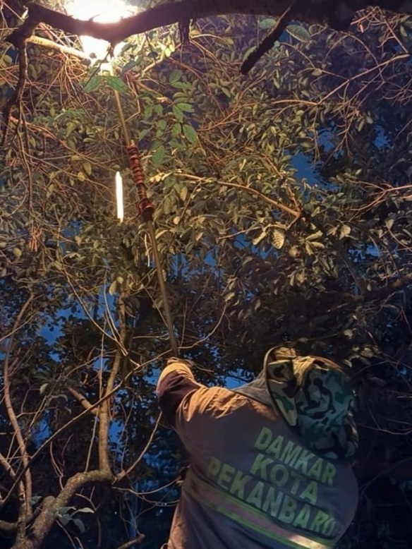 Kehadiran Damkar Pekanbaru Tidak Hanya Pemadam Kebakaran, Tapi Juga Rescue