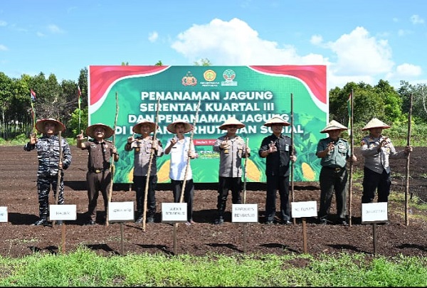 Polres dan Pemkab Bengkalis Tanam Jagung di Kampung Tangguh