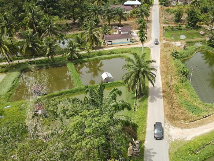 Selamat Desa Koto Masjid Kampar Raih Juara I Lomba Desa dan Kelurahan Tingkat Provinsi Tahun 2023
