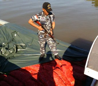 Patroli Lanal Dumai Amankan 7 Ton Bawang Ilegal di Sungai Jangkang