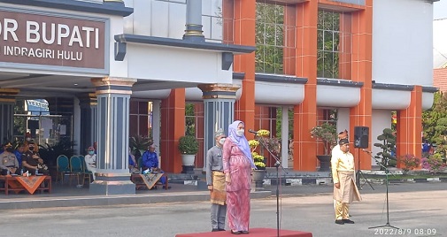 Bupati Inhu Pimpin Apel Peringatan HUT Riau Ke-65