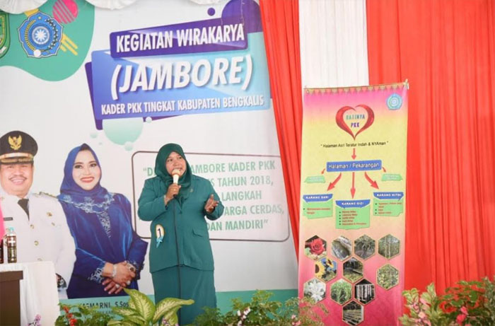 Akna Juwita Apresiasi dan Bangga dengan Pelaksanaan Jambore PKK Bengkalis 2018 