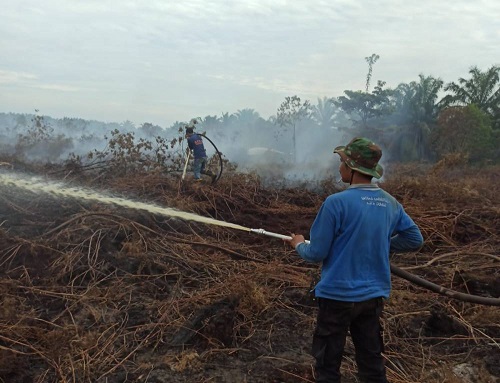 BPBD Dumai dan Tim Gabungan Berhasil Padamkan Karhutla di Lubuk Gaung