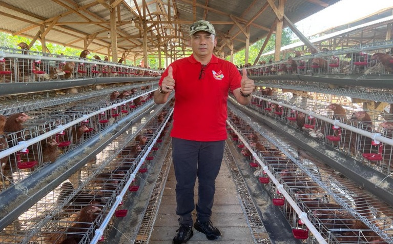 Target Swasembada, Adil Ingin Meranti Punya 13 Industri Ayam Petelur